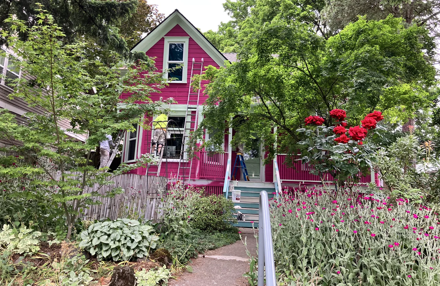Crew on ladders painting a Victorian magenta with mint trim, behind a front garden