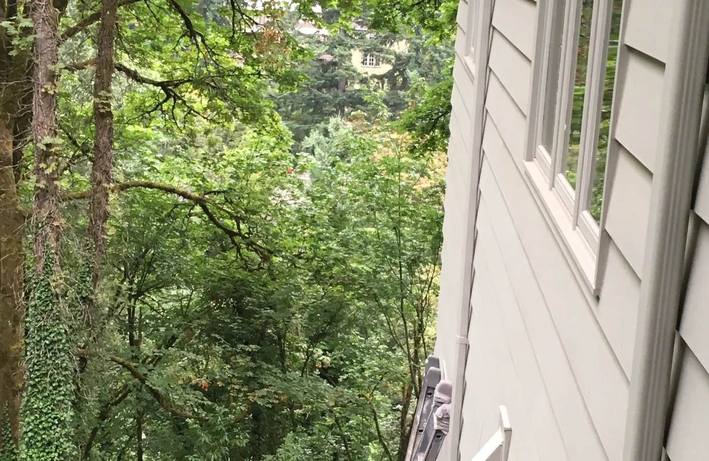 Freshly painted siding and window trim on a hillside Portland home above the trees